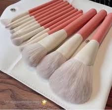 brushes set blush eyeshadow
