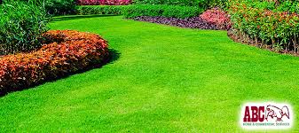 2 organic lawn care services. How To Start An Organic Lawn Garden National Lawn Care Month