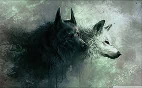 Multiple sizes available for all screen sizes. Hd Wolf Wallpapers Top Free Hd Wolf Backgrounds Wallpaperaccess