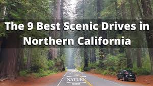 best scenic drives in northern california