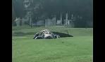 Massive gator spotted on Florida golf course, a 