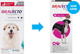Bravecto Chews For Dogs 88 123 Lbs 1 Treatment Pink Box