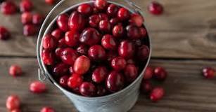 What do cranberries do for your body?