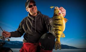 Best Baits For Ice Fishing Perch Rapala