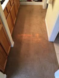 bleach stains carpet repair in gold