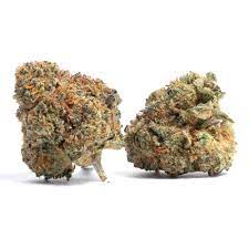 With over 50 different strains, we can help you get exactly what you're looking for. Cookies Kush Aka Cookie Kush Girl Scout Cookies Kush Gsc Kush Weed Strain Information Leafly