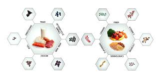 What About Protein The Science On Protein The Game Changers
