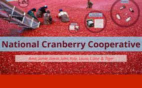 National Cranberry Cooperative By Laura Eufrasio On Prezi