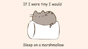 Hd Wallpaper Gray Cat Cartoon Humor
