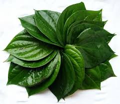 meetha pan betel leaves