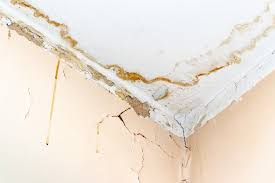 5 Common Signs Of Water Seepage And Its