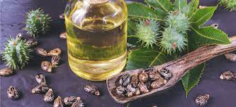 castor oil benefits uses dosage and