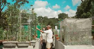 360 new allotment gardening plots at 8