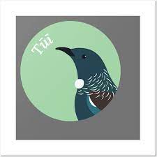 New Zealand Bird Tui Tui Posters