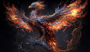 phoenix bird images search images on