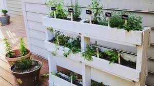 Food With This Easy Pallet Herb Garden