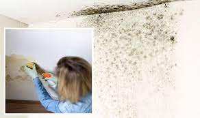 Three Steps To Removing Mould On Walls