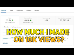 you paid me for 10k views in 2022