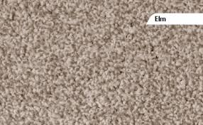 hall carpet carpet tiles tauranga