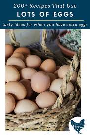 But such a large lunch is a quick meal. 200 Recipes That Use A Lot Of Eggs Recipes Using Egg Egg Recipes For Dinner Recipes