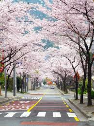 Place Of Korea Best Tourist Places