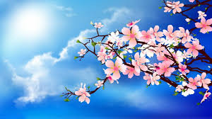 spring flower blue sky light effect