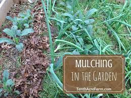 mulch for the permaculture garden