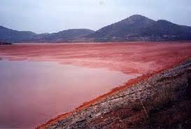 Image result for hồ chứa bùn đỏ
