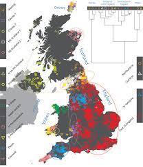 dna map of uk migration history shows