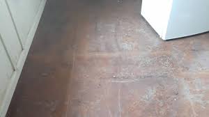 Home / products tagged “wellington”. Tokoroa Tradie Has Bad Day On The Job And Rips Up Flooring In Wrong House Stuff Co Nz