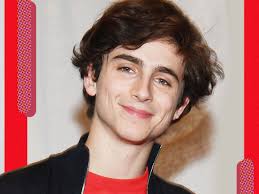 On screen, yes (his latest role in the netflix drama is now proof of that), but also in every thread of his personal life: A Full Rundown Of Timothee Chalamet S Hair Evolution Rue Now