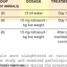 Villous Structure 11 Days P I Untreated Toltrazuril