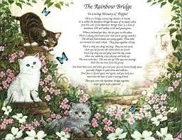 the rainbow bridge pet memorial poem