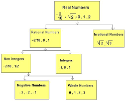 Real Number System Flow Chart Bedowntowndaytona Com