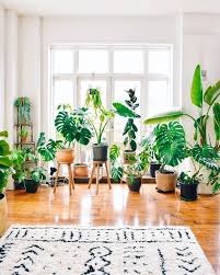 60 plant stand design ideas for indoor