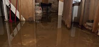How To Dry Out Flooded Crawl Space 10