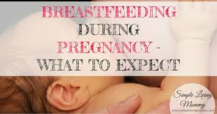 tfeeding during pregnancy what