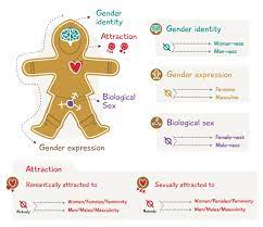 Gender Identity and Expression | IRespectMyself