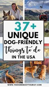 37 unique dog friendly attractions in