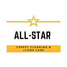 the 10 best carpet cleaning services in