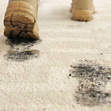 carpet cleaning grand junction co