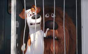 The quiet life of a terrier named max is upended when his owner takes in duke, a stray whom max instantly dislikes. Review The Secret Life Of Pets True View Reviews