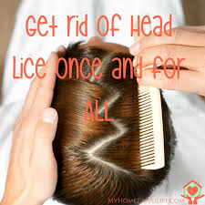 get rid of head lice once