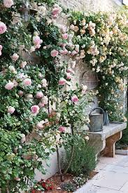 15 Rose Garden Ideas To Enchant And