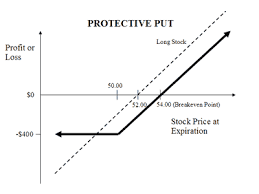 Protective Put Explained Online Option Trading Guide