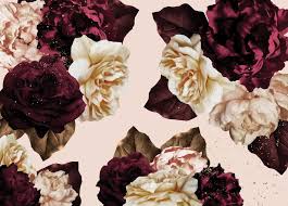 100 burgundy flower wallpapers