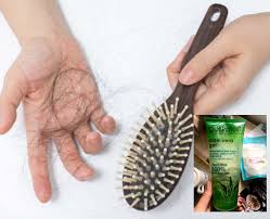 Juga disertai cara merawat rambut untuk pria dan perawatan rambut berketombe. Atasi Rambut Gugur Amal Petua Ni Lagi Mudah Sah Berkesan Keluarga