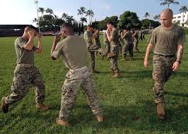 marine corps martial arts program