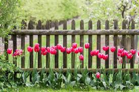 Garden Fence And Gate Ideas