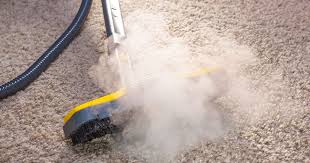 professional steam cleaning services